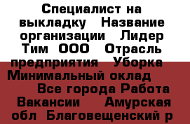 Специалист на выкладку › Название организации ­ Лидер Тим, ООО › Отрасль предприятия ­ Уборка › Минимальный оклад ­ 28 050 - Все города Работа » Вакансии   . Амурская обл.,Благовещенский р-н